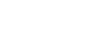 Revive Collagen